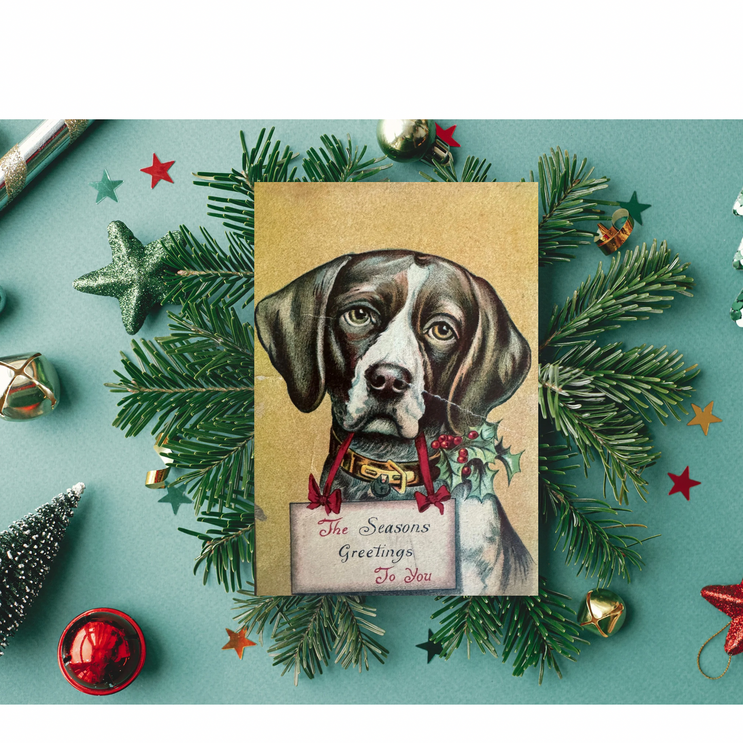 Cute Dog Vintage Christmas Card  - Holiday Cards, New Years, Vintage Prints, Greeting Cards