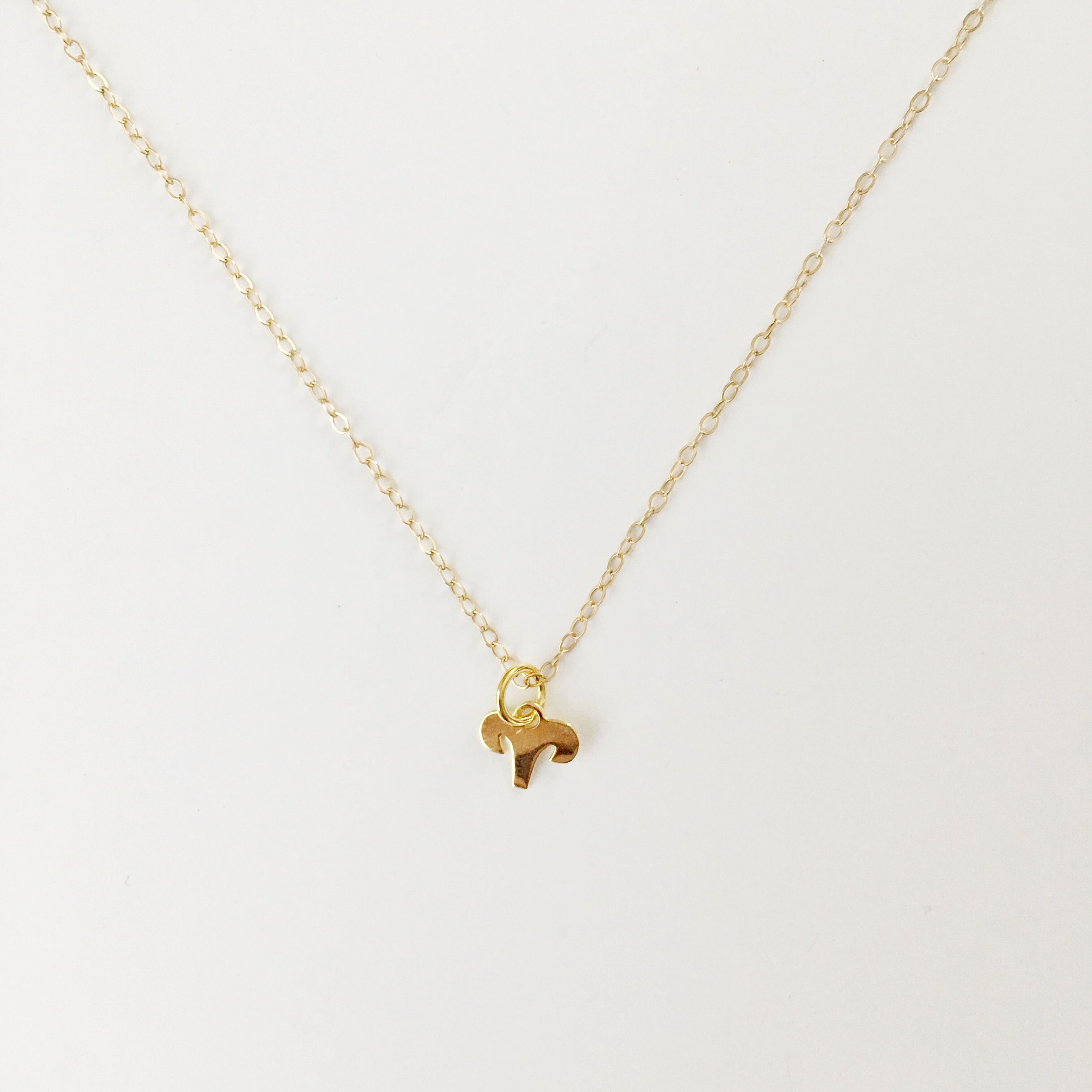 aries necklace astrology 