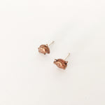 pig post earrings
