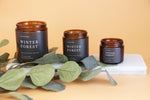 Winter Forest Candle -  Scented Holiday Candle, Scents of citrus, balsam, and blue spruce